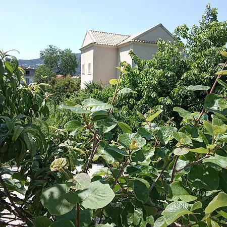 Appartamento Stamyra House