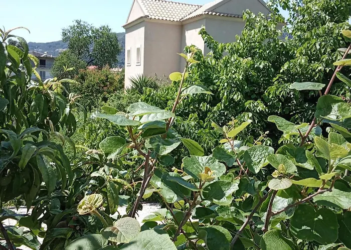 Apartament Stamyra House